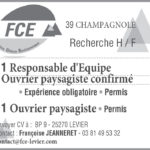 FCE emploi.indd