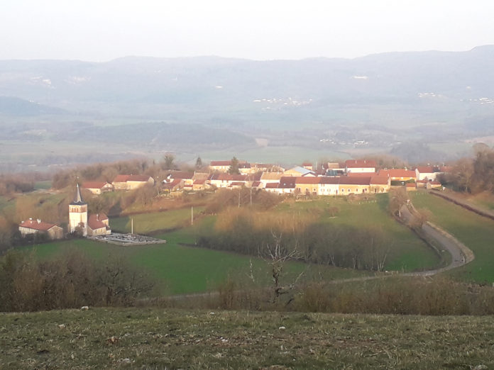 Négri La Boissière THD