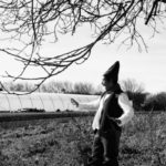 la carotte