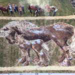 Cheval Land art Gendrey 2