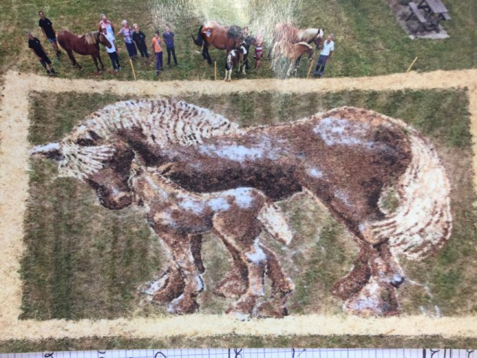 Cheval Land art Gendrey 2