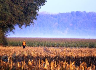Les chasseurs prêts pour la nouvelle saison