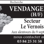 CLAVELIN-40X2