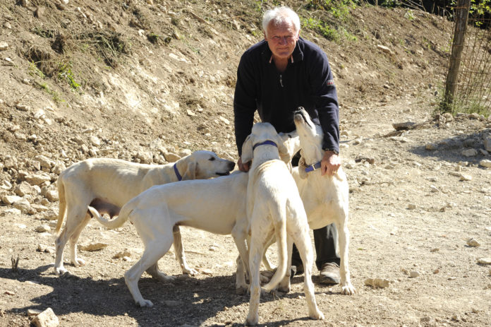 Négri Blye chiens blancs roy (1)