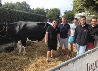 Foire de la Mi-s’tembre à Bletterans
