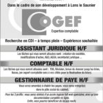 COGEF EMPLOI 140×3