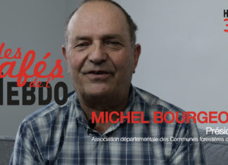 -Vidéo- Jura : Cueillette illégale de champignons et état sanitaire des forêts !