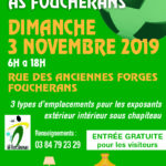 puces AS foucherans .indd