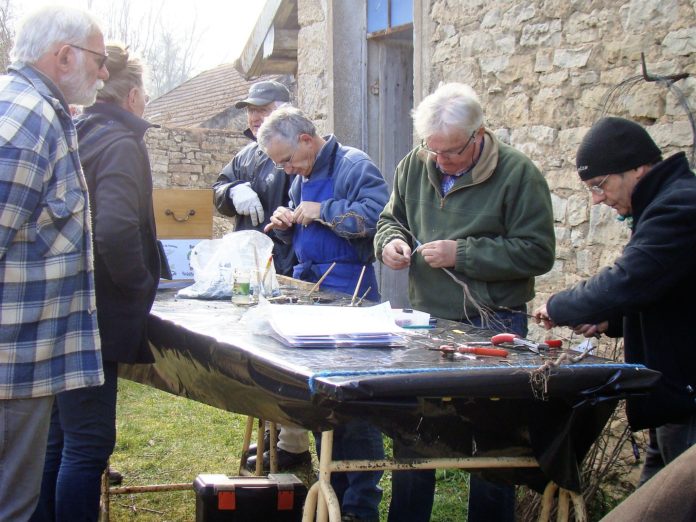 Greffage 16-03-2015 006