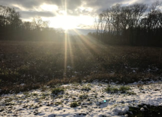 Vigilance jaune “Neige-Verglas” et “Vent violent” dans le Jura, ce jeudi 21 novembre