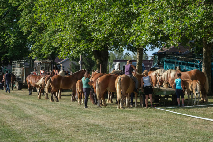 photo jack varlet - 06 88 78 25 33 - Gendrey 20 juillet 2019