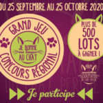 img_jeu_concours_regional_WGCP_2020_300_250_Hebdo_39
