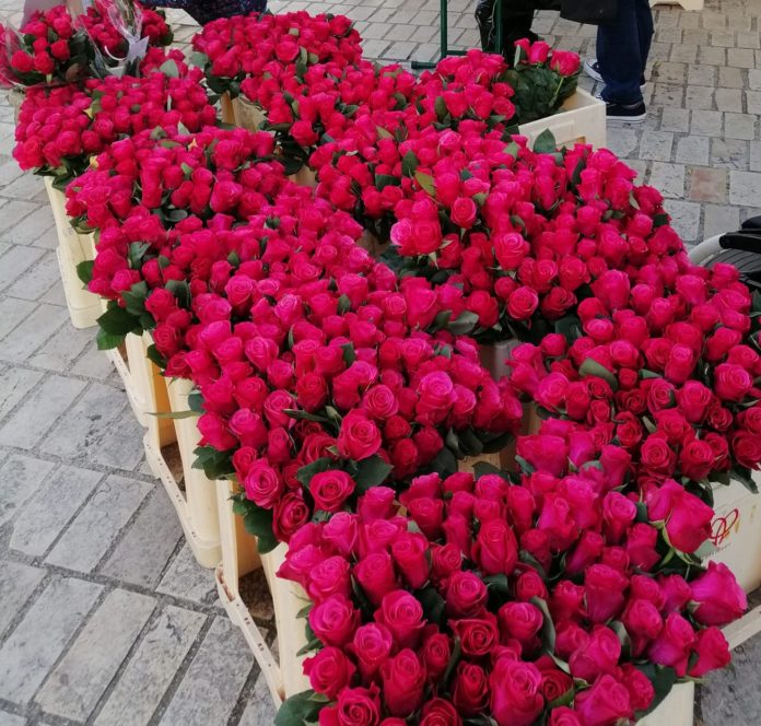 vente de roses