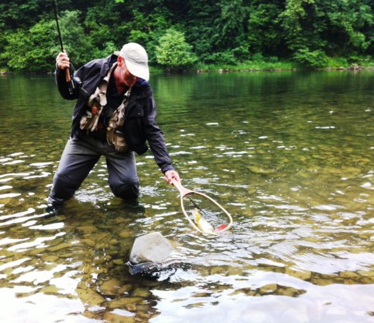 Pêche à la truite