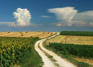 Moins de technocratisme, plus d’empathie