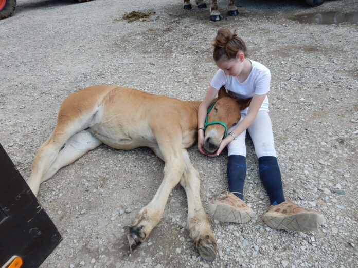 Faustine et Lisette