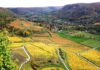 Vins du Jura chiffres