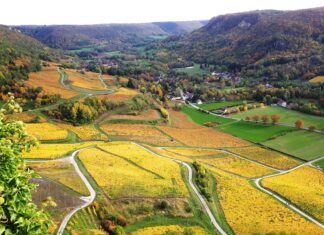 Vins du Jura chiffres