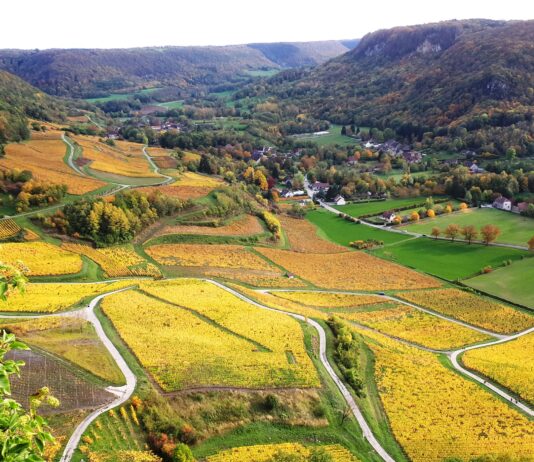 Vins du Jura chiffres