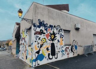 Arbois : Canehan égaye les murs de l’ancienne gendarmerie avant sa destruction