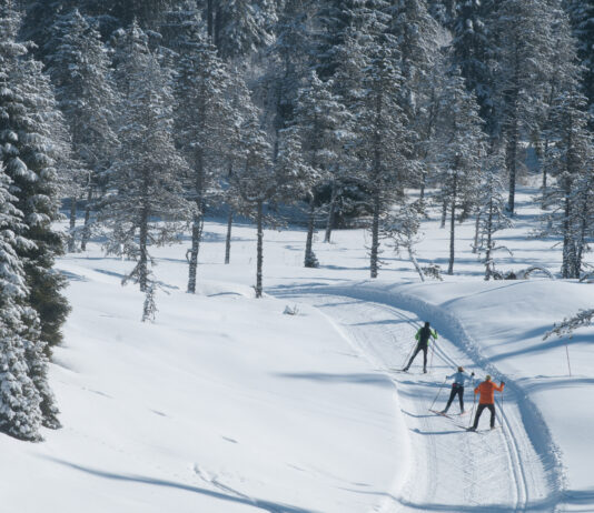 Ski Nordique dans le Jura