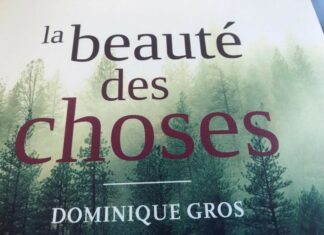 Le dernier roman de Dominique Gros est paru