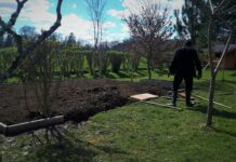 erreurs débutant jardinage
