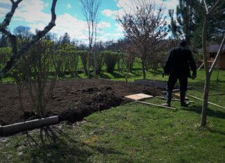 Dossier plein air. Débuter au jardin sans faux pas : les erreurs à éviter erreurs débutant jardinage