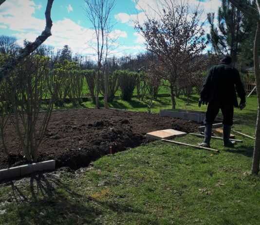 erreurs débutant jardinage