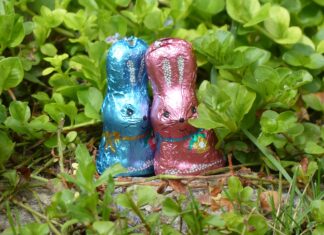 Chocolats de pâques