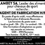 Lambey-emploi-2_S08.indd