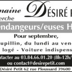 Source_Domaine-Desire-Petit_emploi_S30_2024