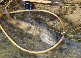 Pêche : le salut viendra t-il du ciel ?