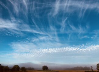 Les illusions perdues