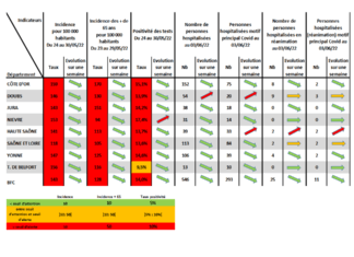 Covid-19 : l’épidémie continue de reculer, mais moins vite…