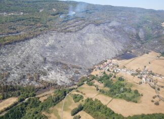 Trois feux sont toujours en cours dans la petite montagne