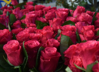 OncoDoubs intervient dans le Jura