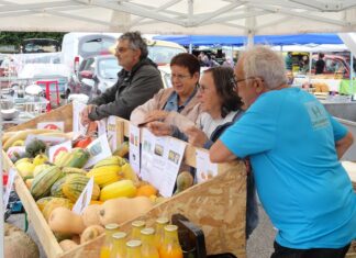 Arbois : 3e fête de la courge dimanche 16 octobre
