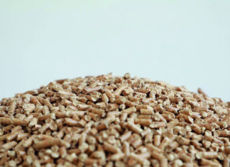 Le bois ne flambe plus…ou presque !