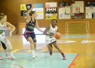 Le bureau de l’ALL Jura basket démissionne