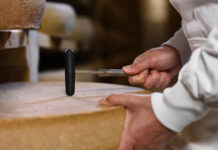 Production Comté Jura