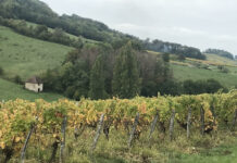 Pas de conseil municipal à Villette-lès-arbois