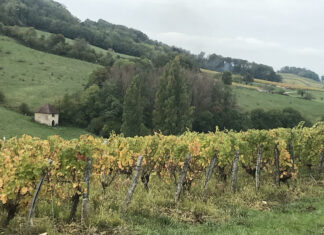 Pas de conseil municipal à Villette-lès-arbois