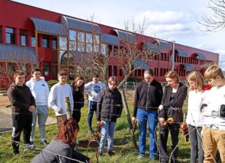 Arbois : découverte du monde professionnel pour les collégiens de Pasteur