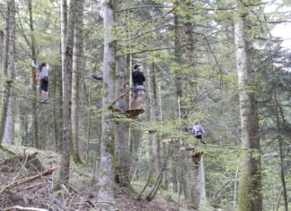 L’École Municipale des Sports de Saint-Claude se met au vert