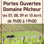 DomainePecheur_Skycrapper