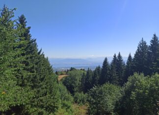 La situation préoccupante des forêts jurassiennes