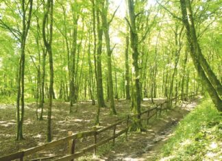 Le sentier du Loup-Garou, une balade chargée d’histoire