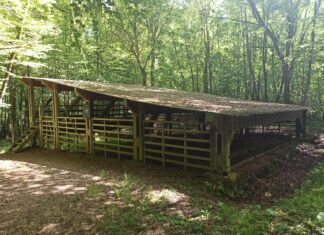 Four gallo-romain Villers-Farlay