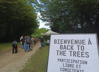 Saint-Vit : vif succès pour la huitième édition de « Back to the trees »